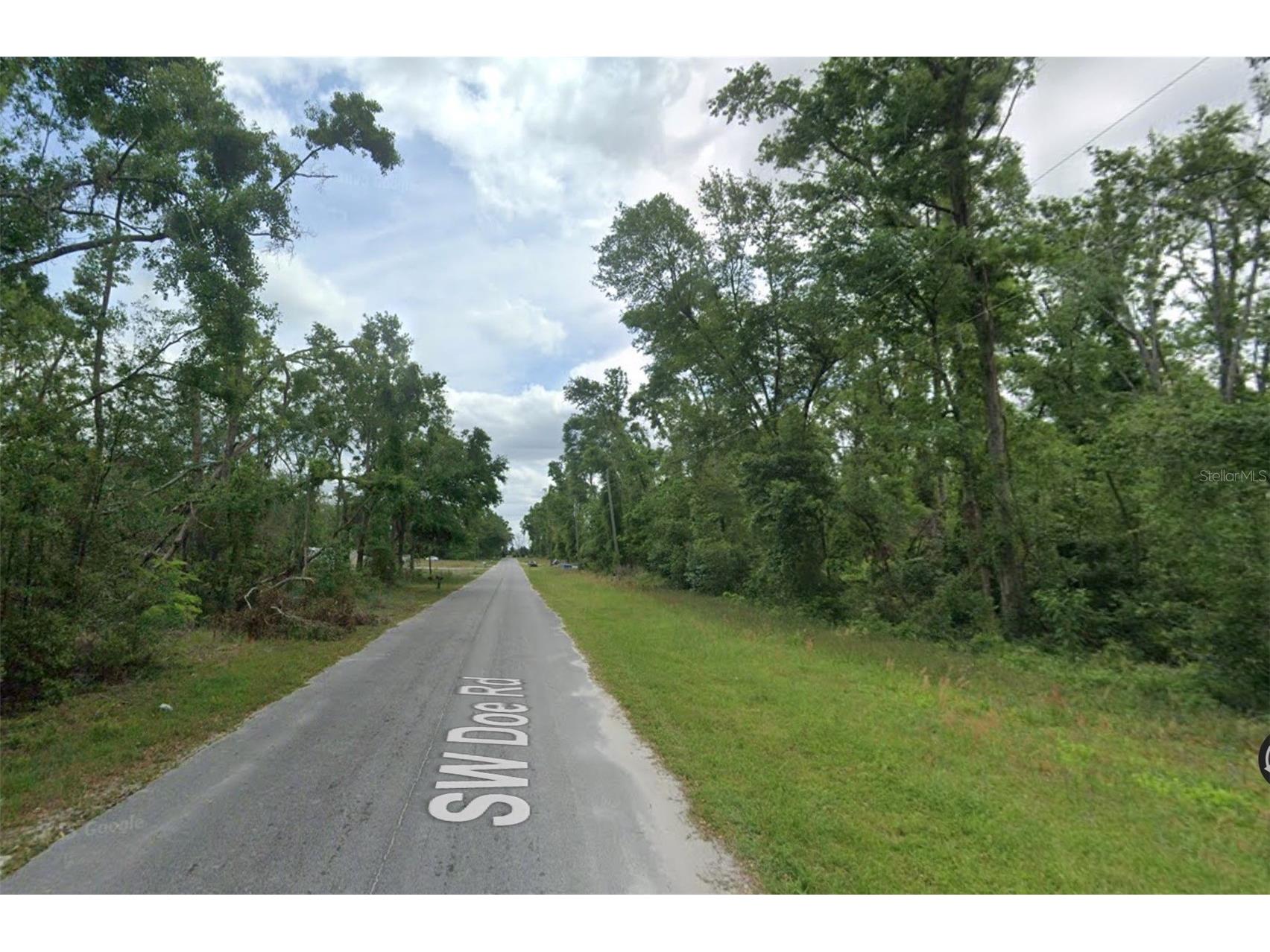 00 SW Doe Road Mayo FL 32066 OM718650 image2