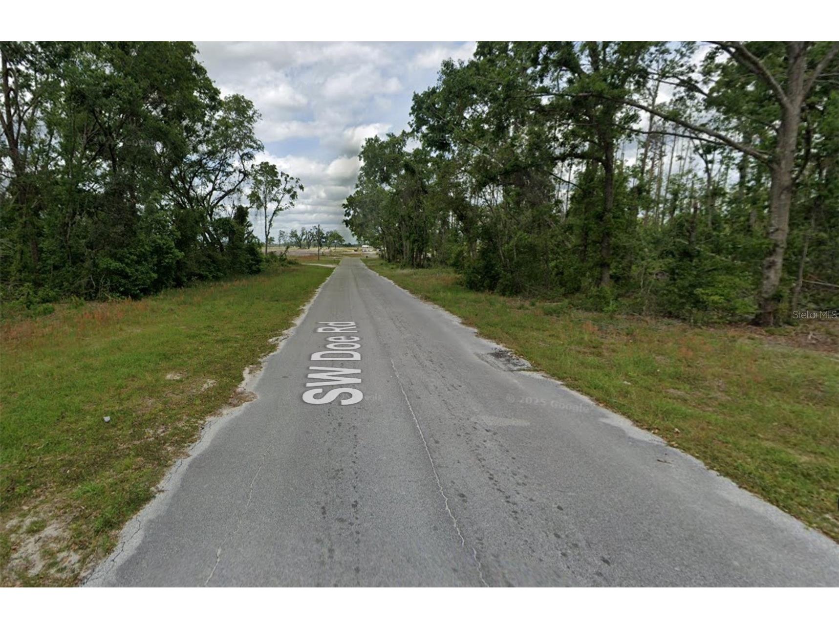 00 SW Doe Road Mayo FL 32066 OM718650 image4