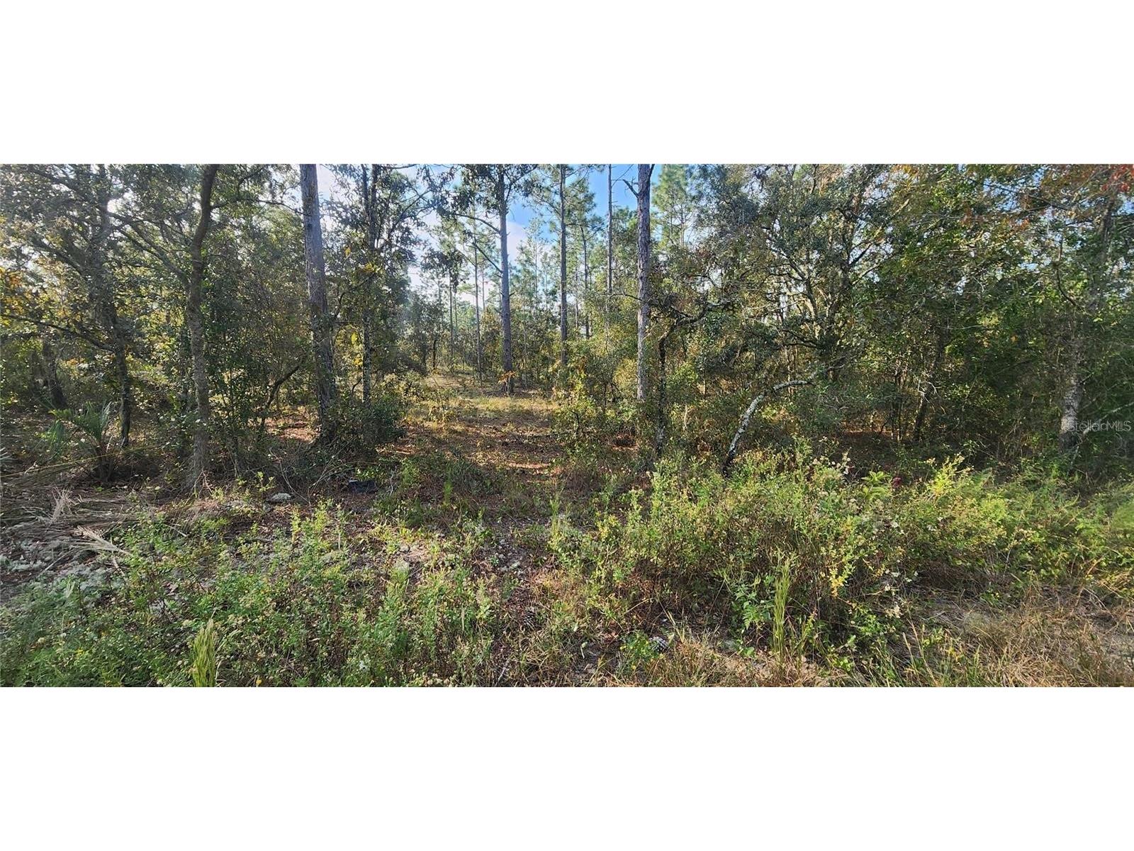 00 SW Edgewater Blvd Dunnellon FL 34431 OM713656 image3