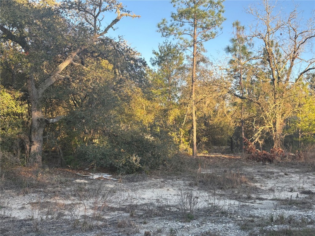 00 SW Gardenia Court Dunnellon FL 34431 OM697365 image1