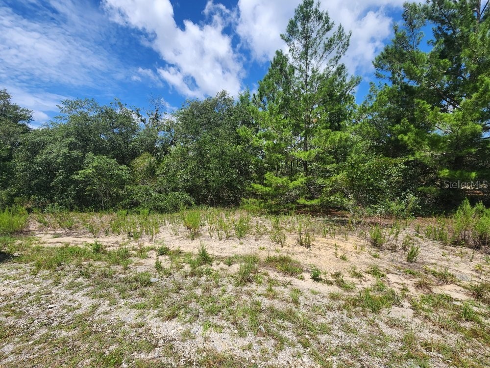 00 SW Gardenia Court Dunnellon FL 34432 OM728478 image1