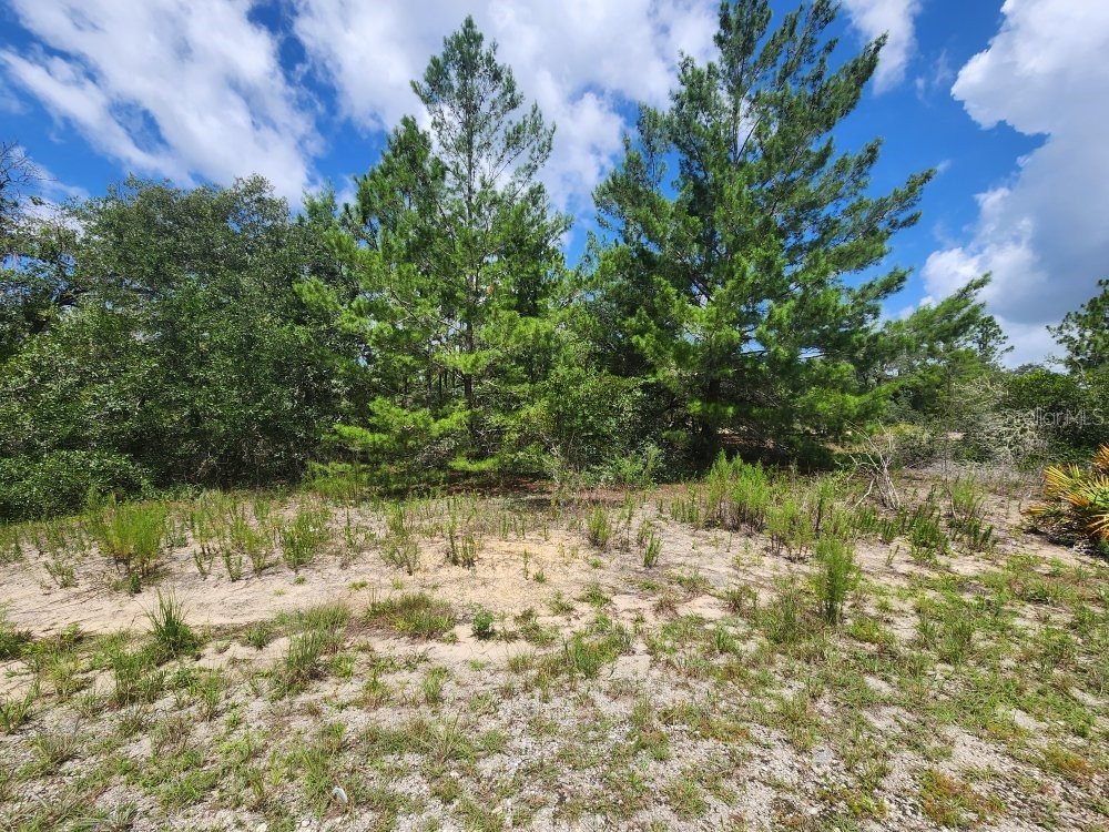 00 SW Gardenia Court Dunnellon FL 34432 OM728478 image2