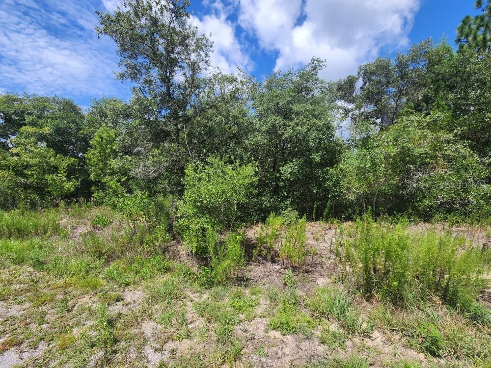 00 SW Gardenia Court Dunnellon FL 34432 OM728478 image3