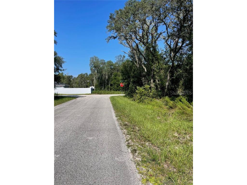 00 SW Green Bay Drive #LOT 21 Dunnellon FL 34431 O6339800 image4