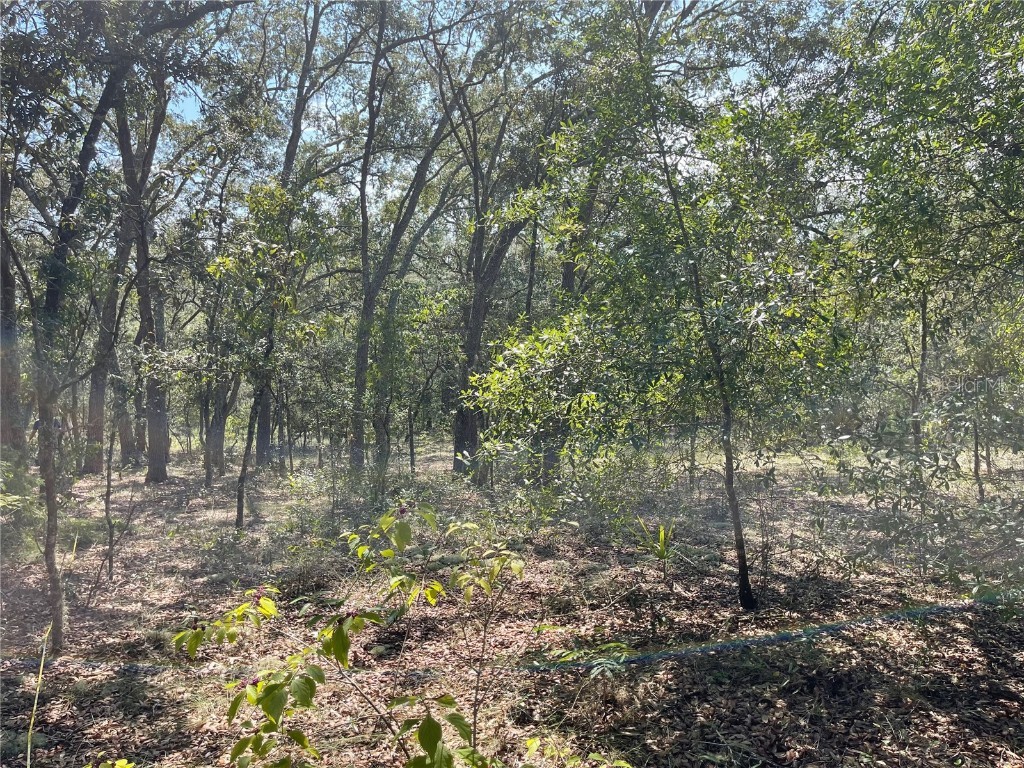 00 SW Green Bay Drive #LOT 21 Dunnellon FL 34431 O6339800 image5