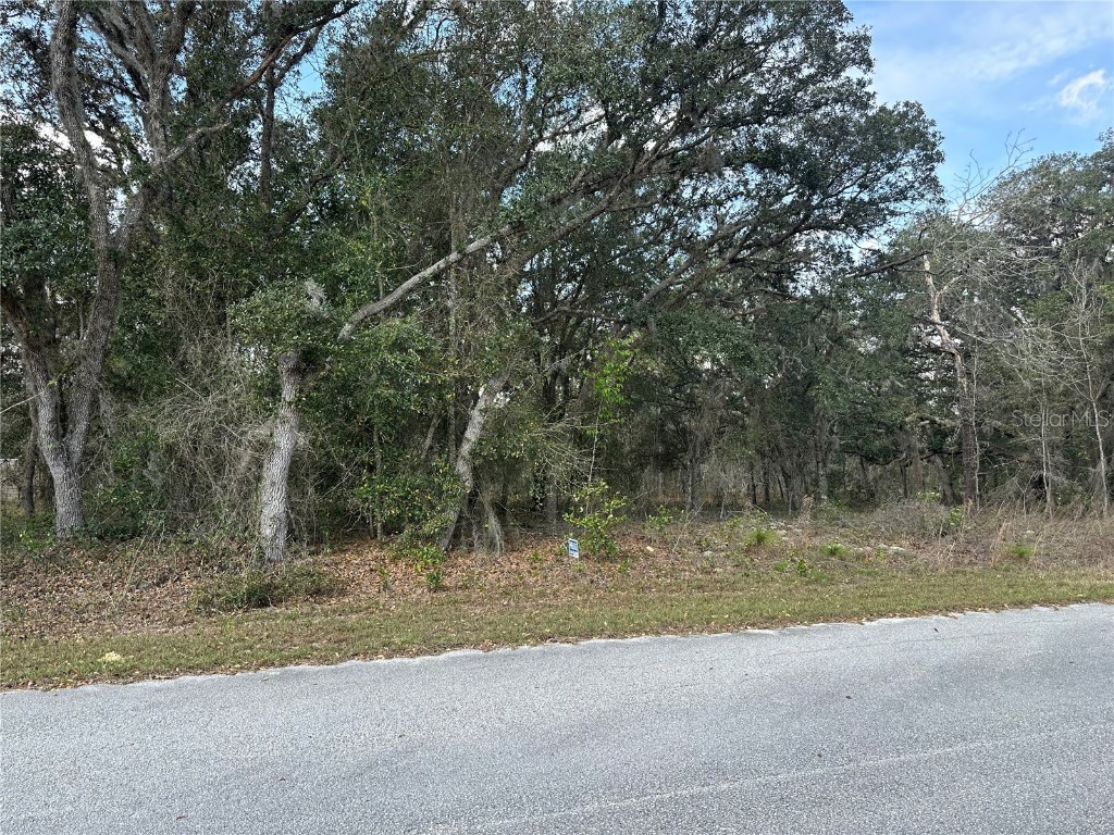 00 SW Harbor Hills Road Dunnellon FL 34431 OM651181 image1