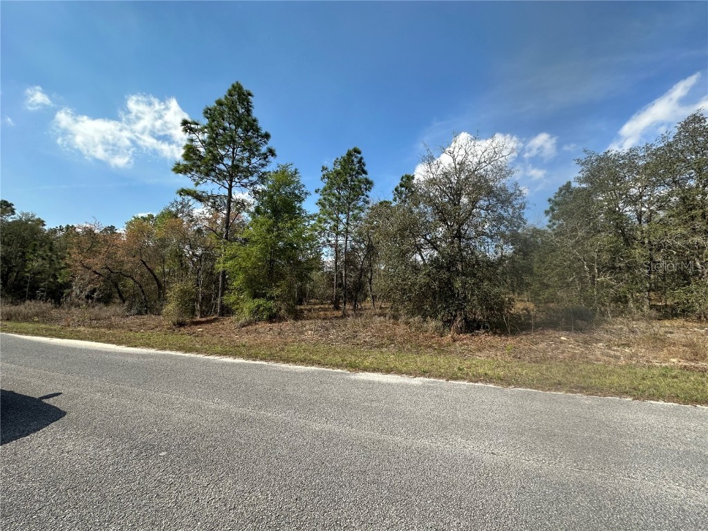 00 SW Hilliard Avenue Dunnellon FL 34431 OM651185 image1