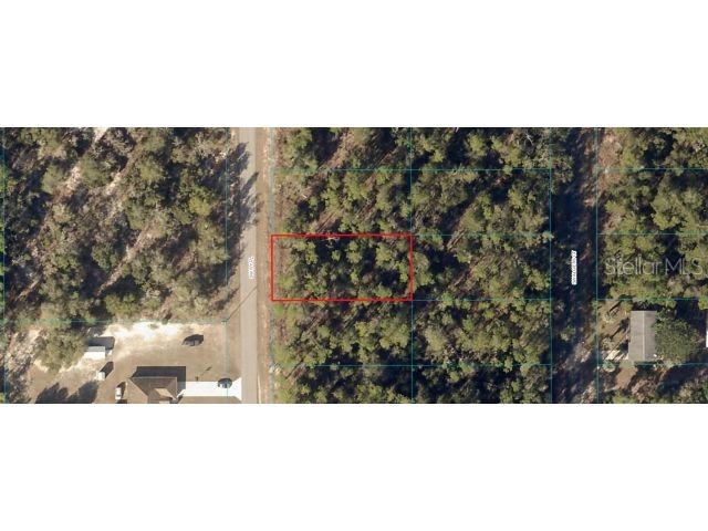 00 SW Ivy Dunnellon FL 34431 O6113241 image1