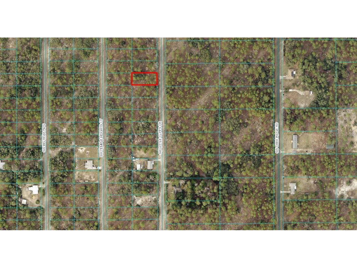 00 SW Little Cliffs Drive Dunnellon FL 34431 OM678376 image1
