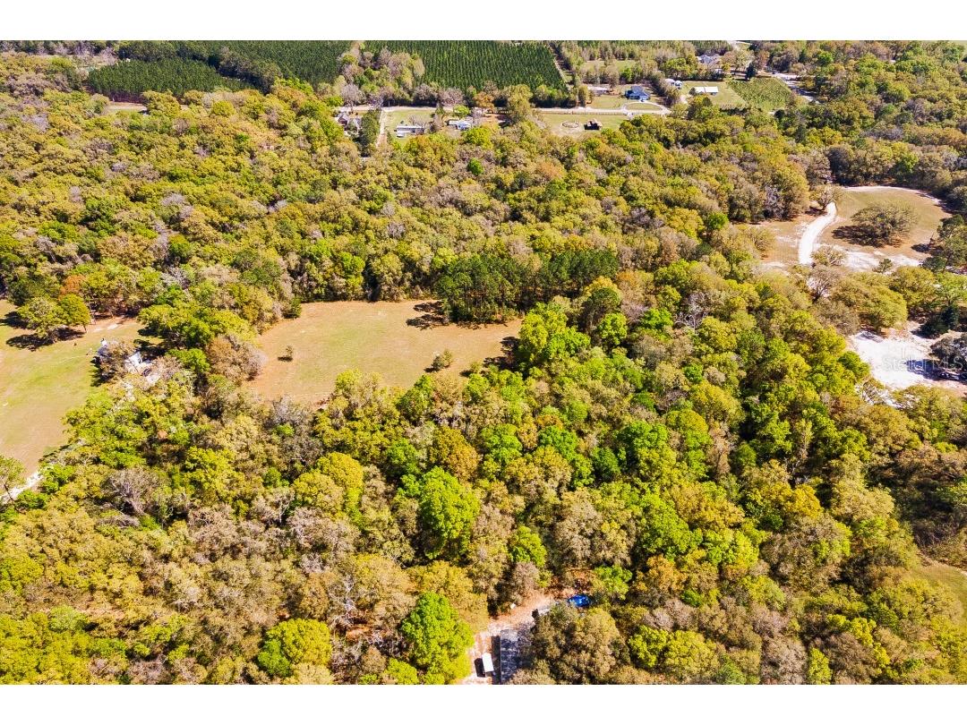 00 SW Little Road, Lake City, FL, 32024 MLS O6160555 Edina Realty