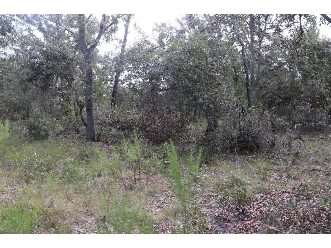 00 SW Lobelia Court Dunnellon FL 34431 OM663504 image1