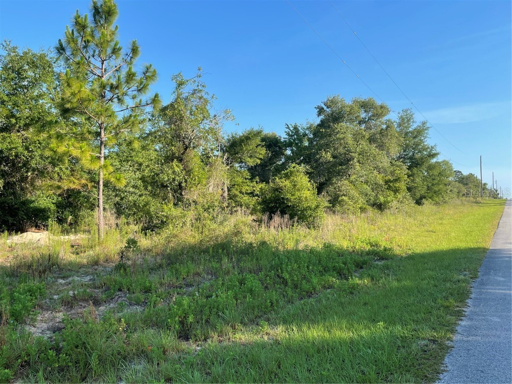 00 SW Marigold Court Dunnellon FL 34431 O6212656 image1