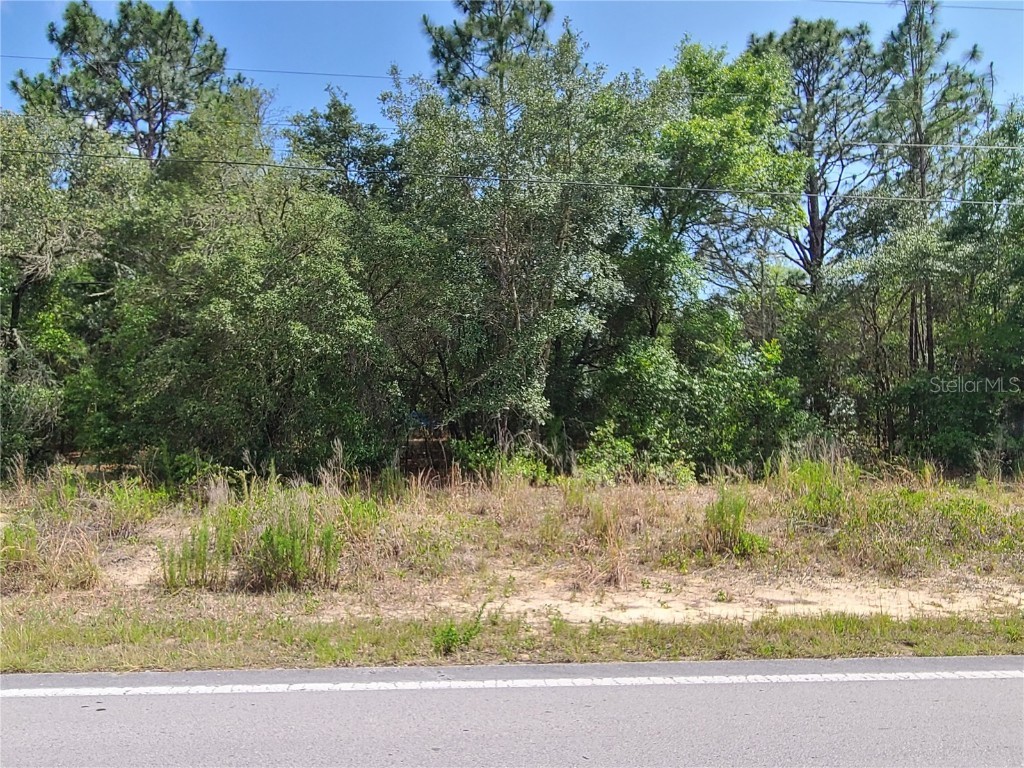 00 SW Marine Boulevard Dunnellon FL 34431 OM656899 image1