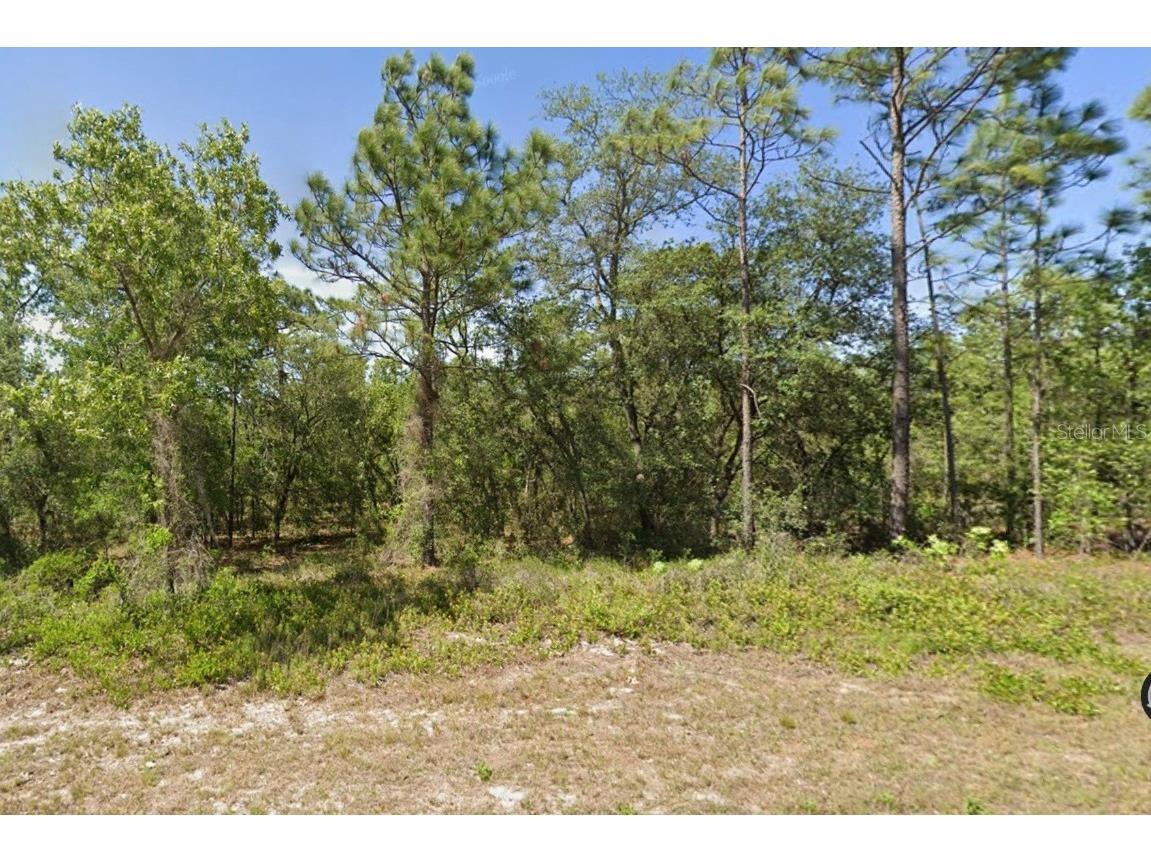 00 SW Marine Boulevard Dunnellon FL 34431 OM698663 image1