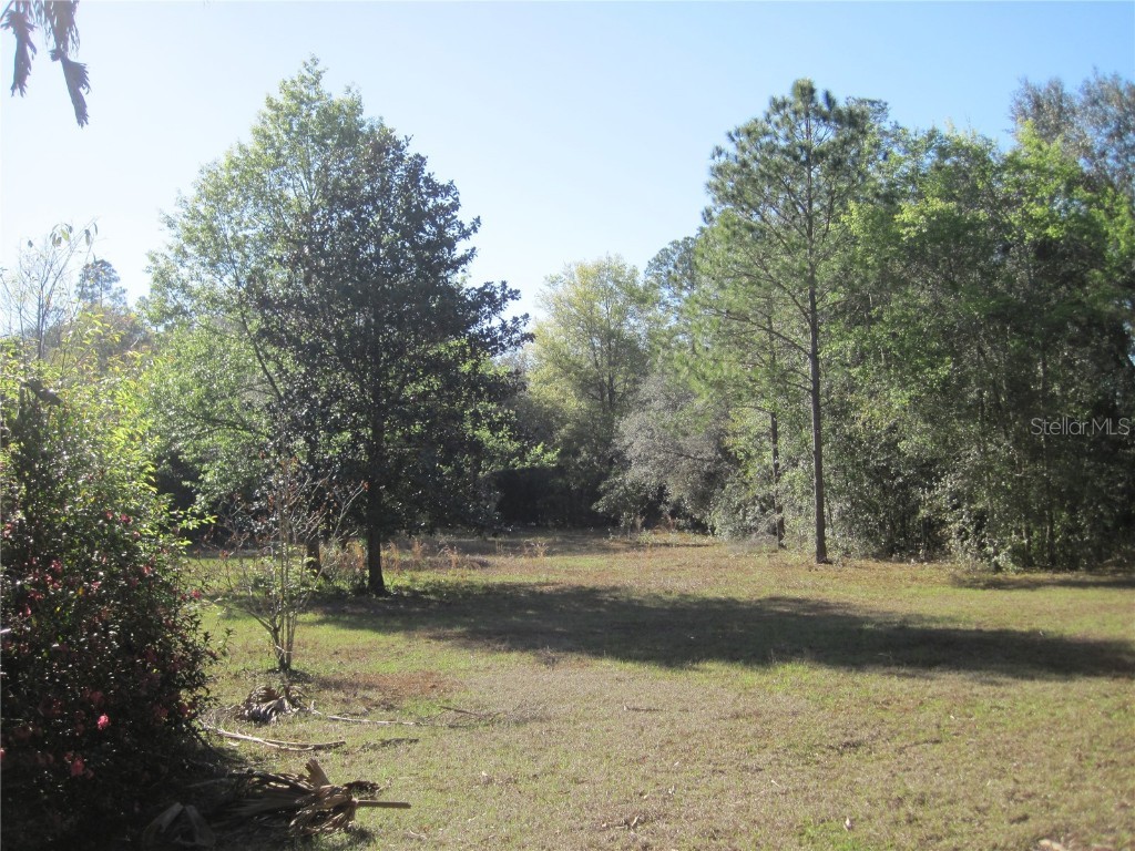 00 SW Marine Boulevard Dunnellon FL 34431 OM715458 image2