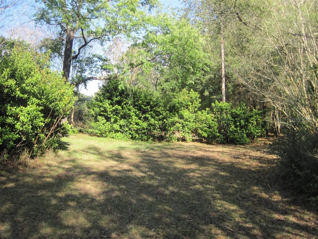 00 SW Marine Boulevard Dunnellon FL 34431 OM715458 image3