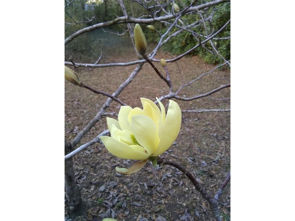 00 SW Marine Boulevard Dunnellon FL 34431 OM715458 image6