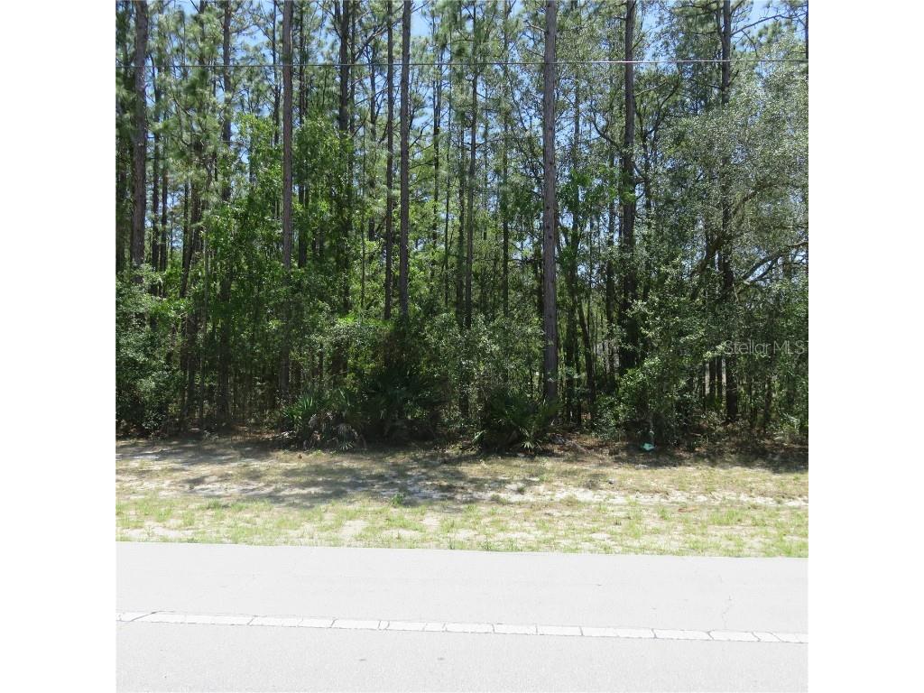 00 SW Marion Oaks Trail Ocala FL 34473 OM657538 image1