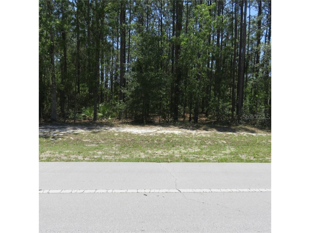 00 SW Marion Oaks Trail Ocala FL 34473 OM657549 image1