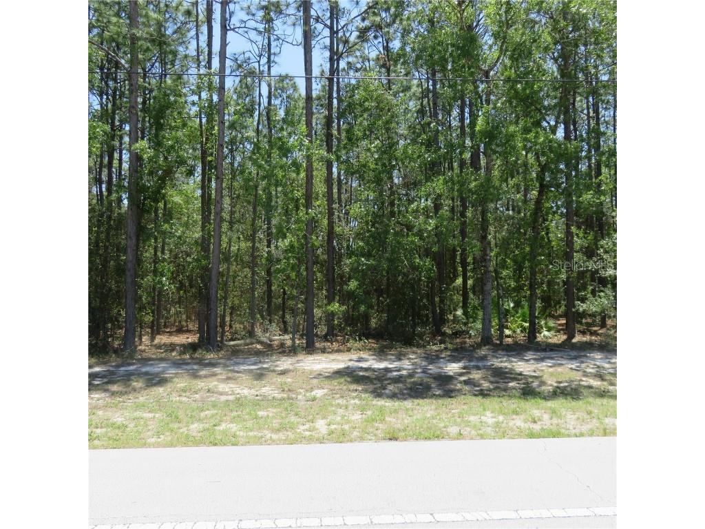 00 SW Marion Oaks Trail Ocala FL 34473 OM657553 image1