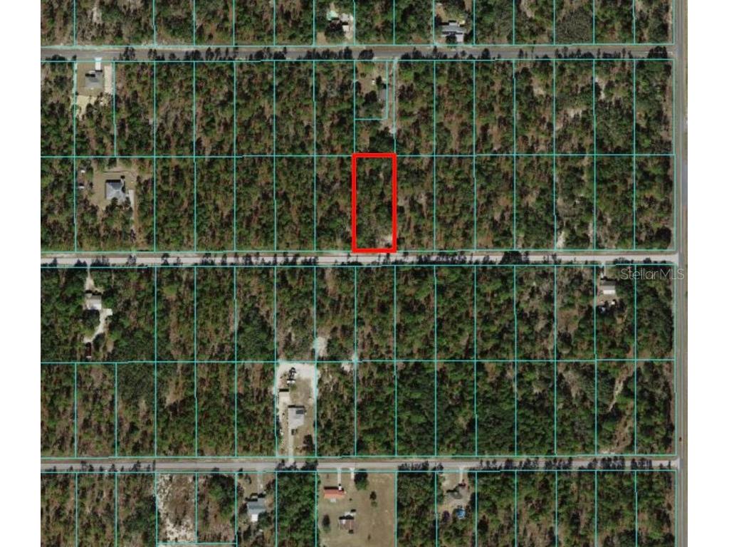 00 SW Neptune Boulevard Dunnellon FL 34431 OM670410 image1