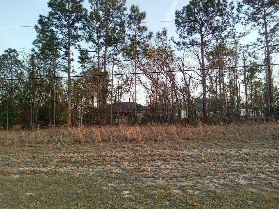 00 Sw Ocala FL 34473 O6137181 image1