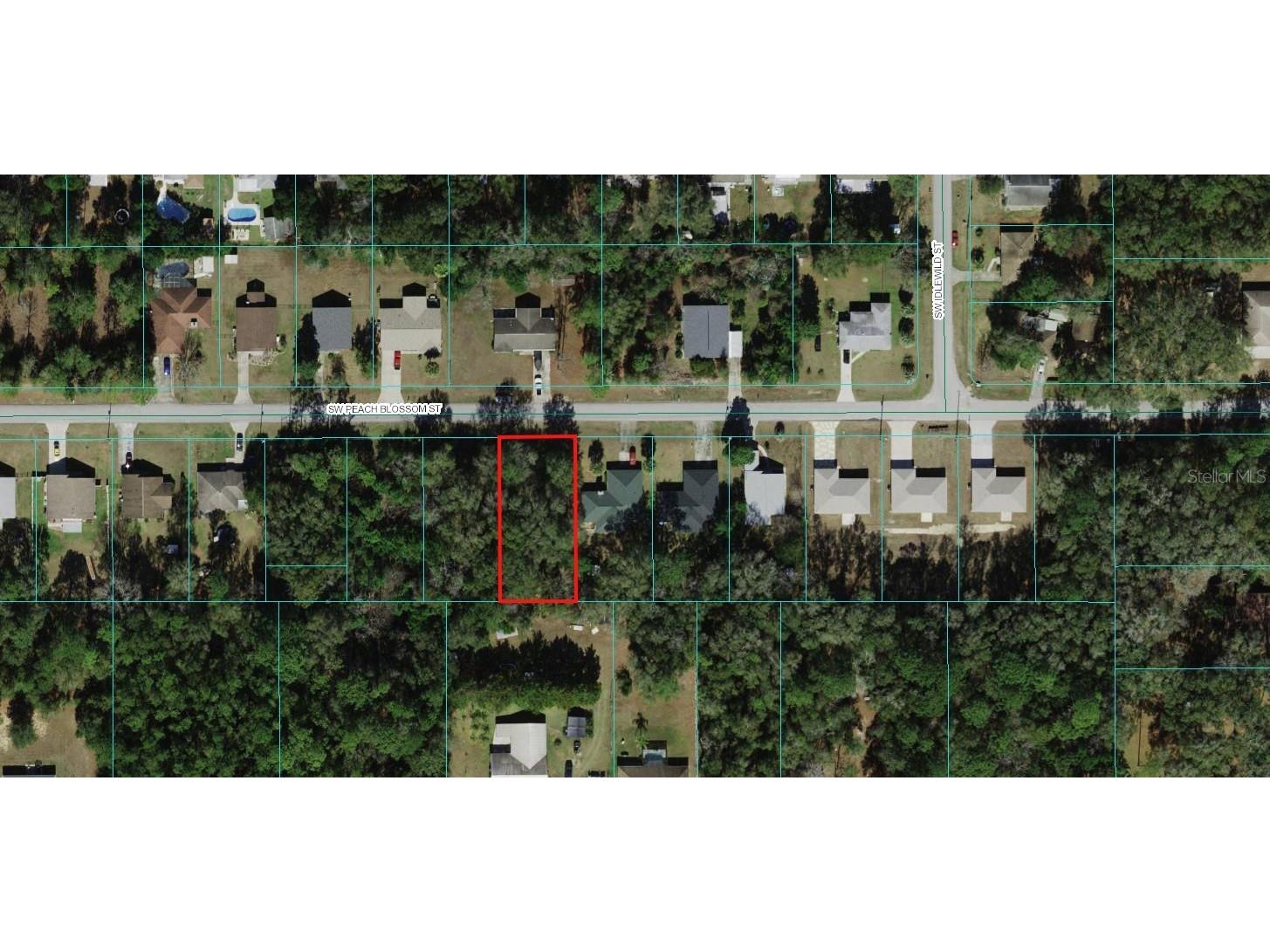 00 SW Peach Blossom Street Dunnellon FL 34431 OM677982 image1