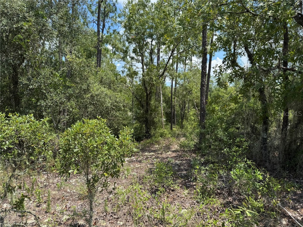 00 SW Rainbow Lakes Boulevard Dunnellon FL 34431 OM706559 image3