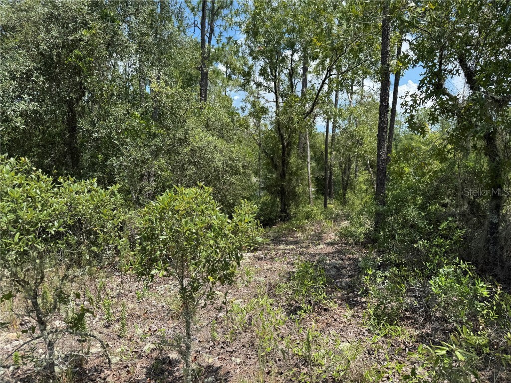 00 SW Rainbow Lakes Boulevard Dunnellon FL 34431 OM706559 image4