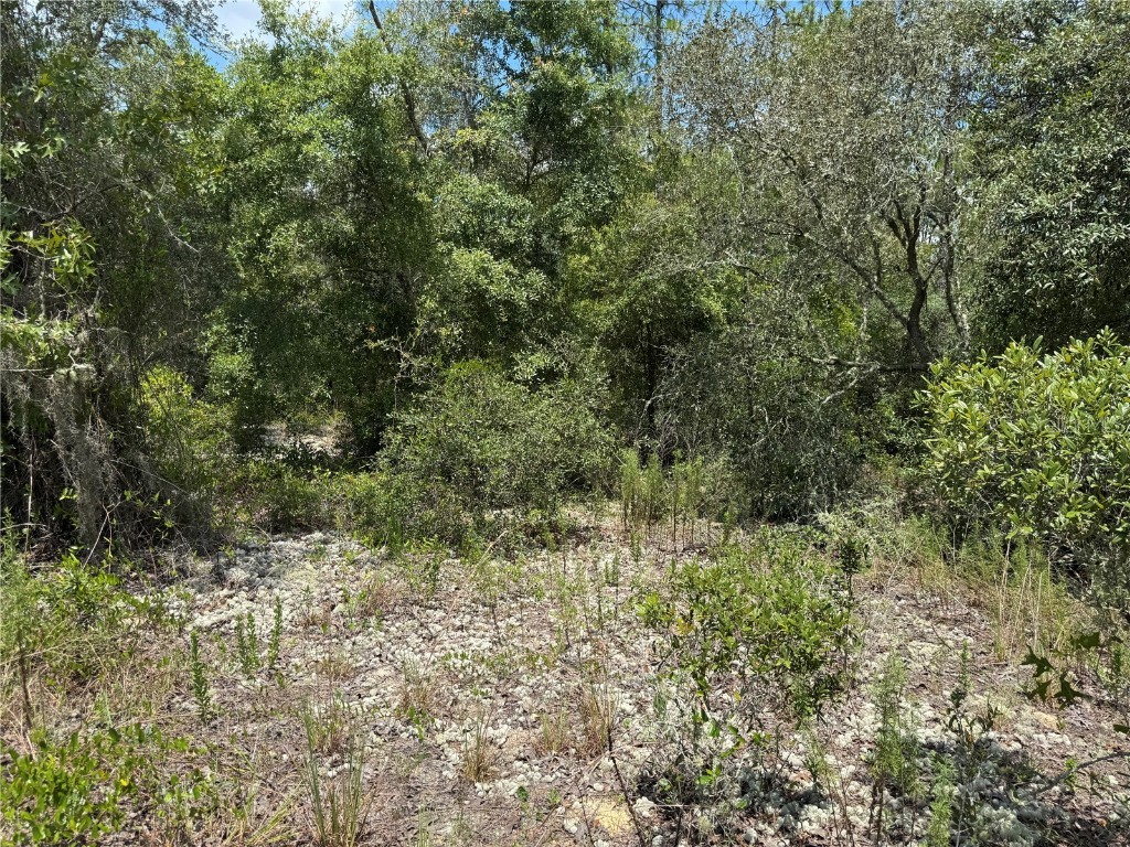 00 SW Rainbow Lakes Boulevard Dunnellon FL 34431 OM706559 image5