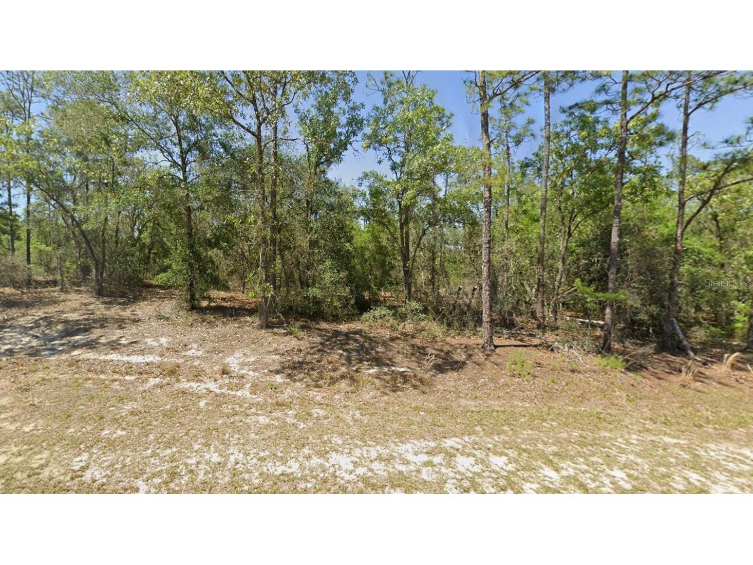 00 SW Rainbow Lakes Boulevard Dunnellon FL 34431 OM719783 image1
