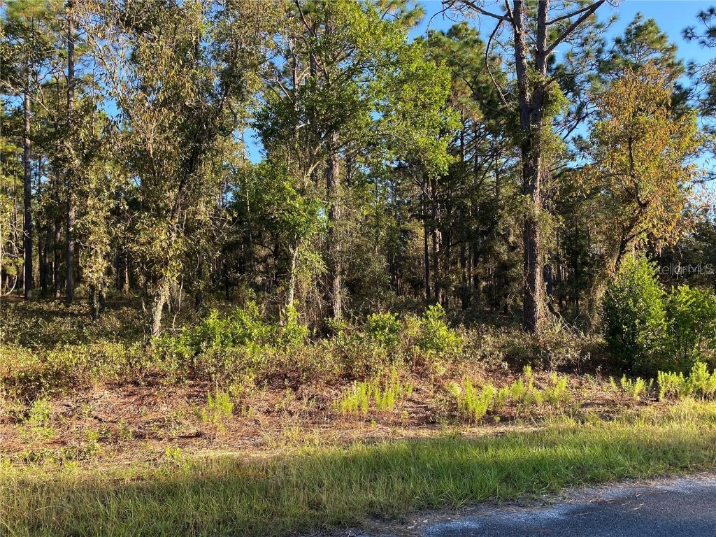 00 SW Rainelle Road Dunnellon FL 34431 OM659819 image1