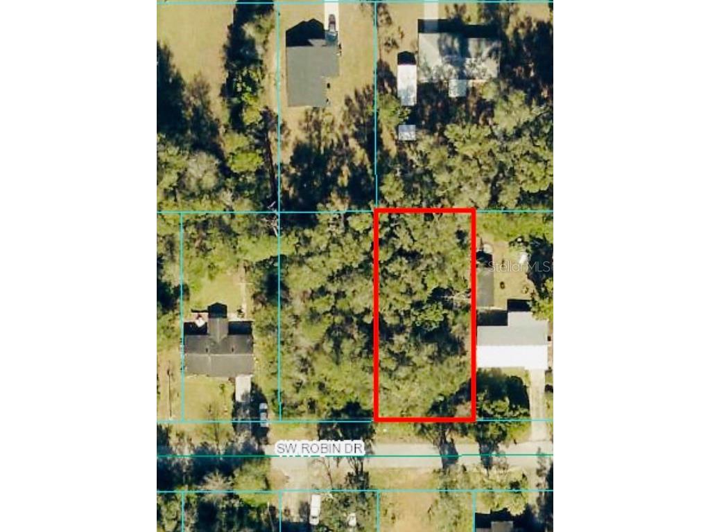 00 SW Robin Drive #LOT 35 Dunnellon FL 34431 OM694795 image1