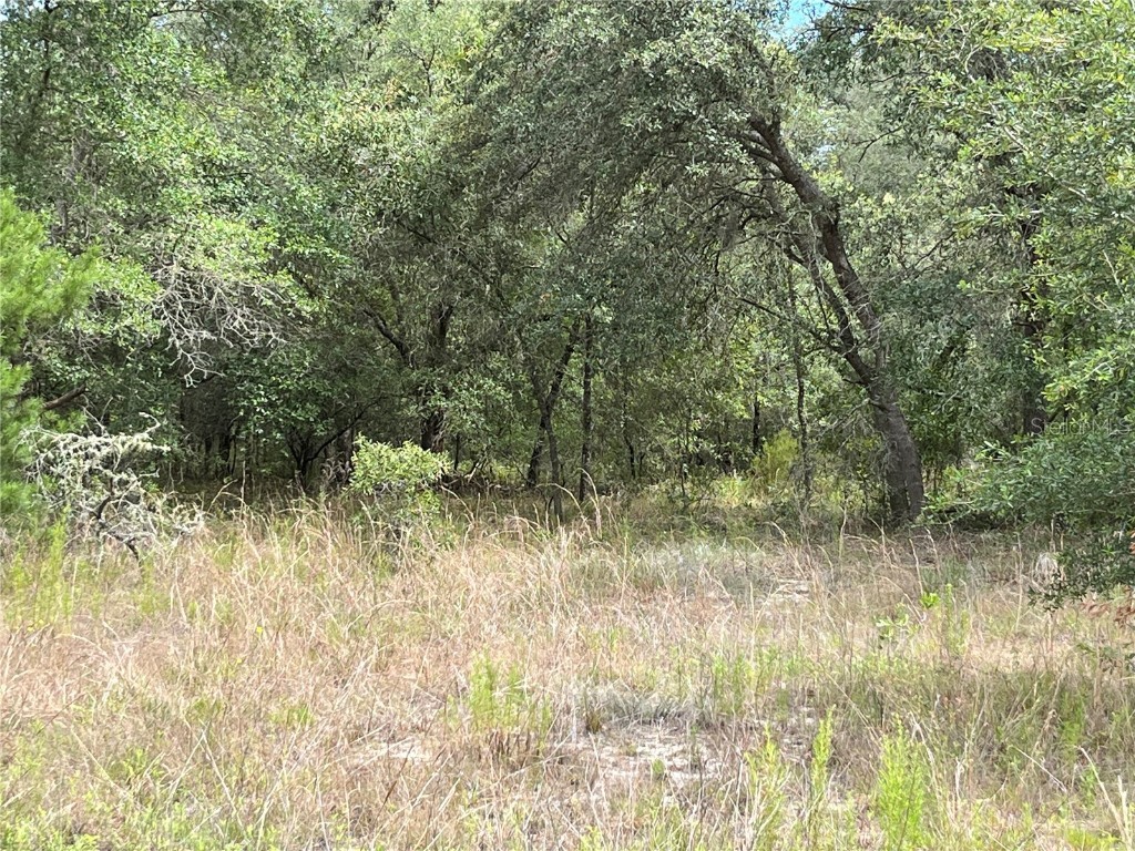 00 SW Sailboat Drive Dunnellon FL 34431 OM659794 image1