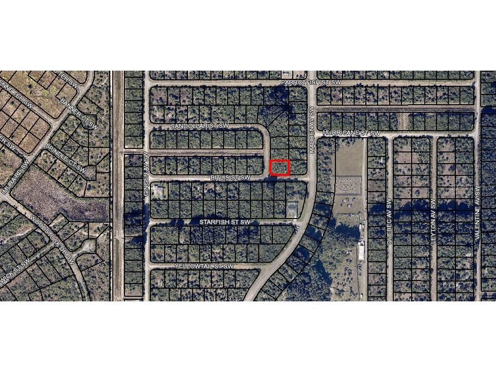 00 SW Sandollar Palm Bay FL 32908 OM664197 image1