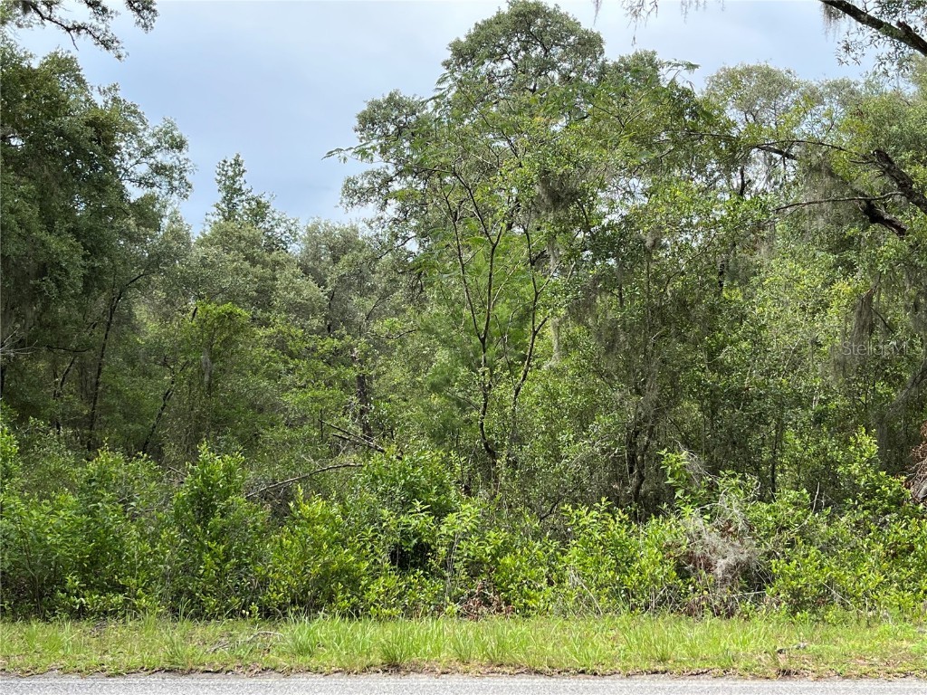 00 SW Sea Cliff Avenue Dunnellon FL 34431 OM659788 image1