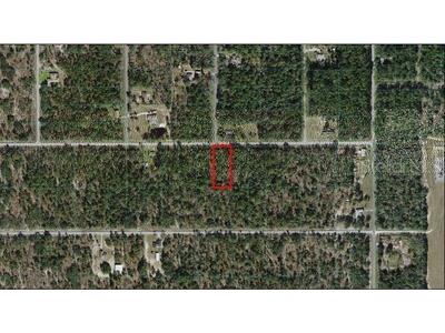 00 SW Sea Cliff Dunnellon FL 34431 OM631261 image1