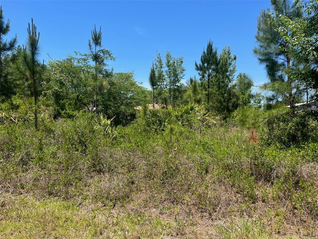 00 SW South Beach Court Dunnellon FL 34431 - Tiger Lake OM657437 image1