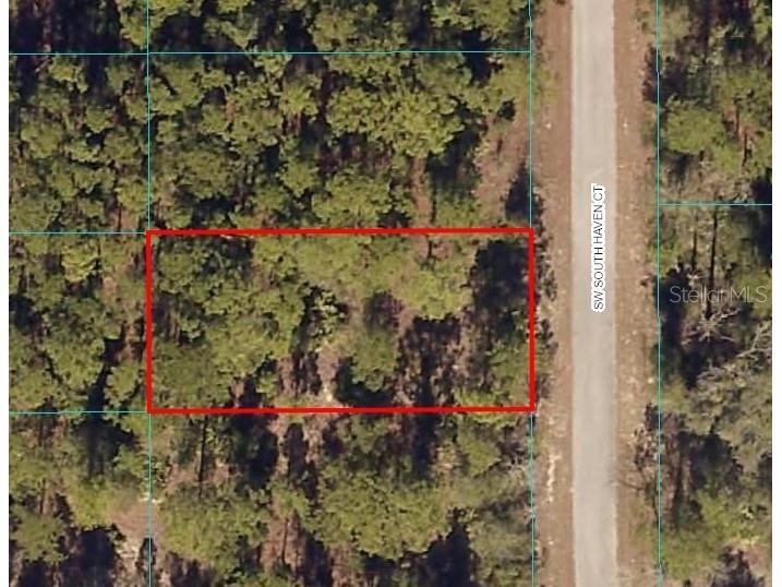 00 SW Southhaven Court Dunnellon FL 34431 OM654712 image1