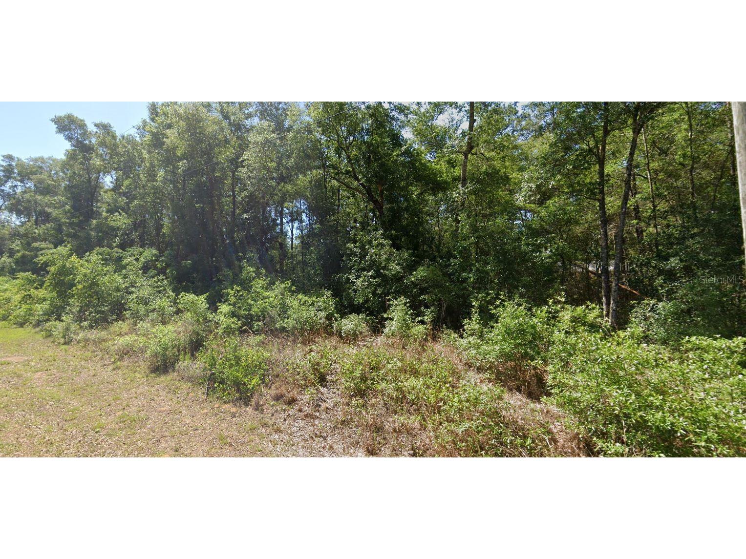 00 SW Starling Drive Dunnellon FL 34431 O6341881 image1