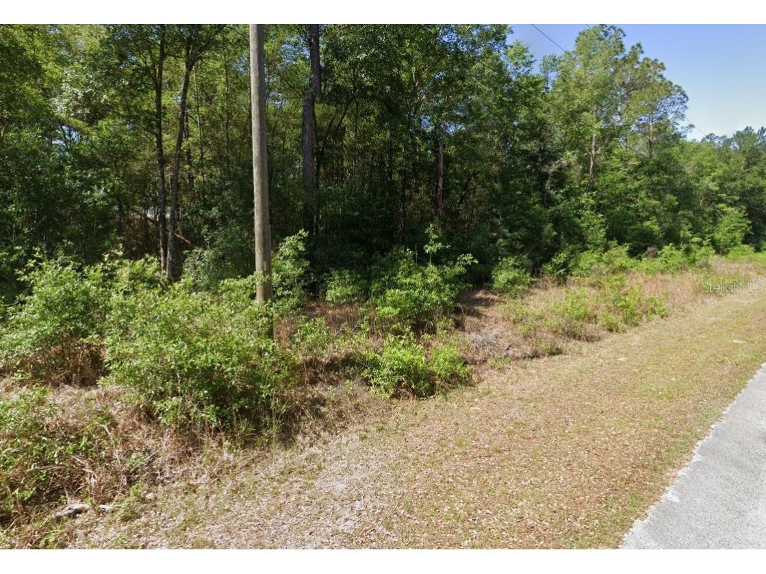 00 SW Starling Drive Dunnellon FL 34431 O6341881 image3