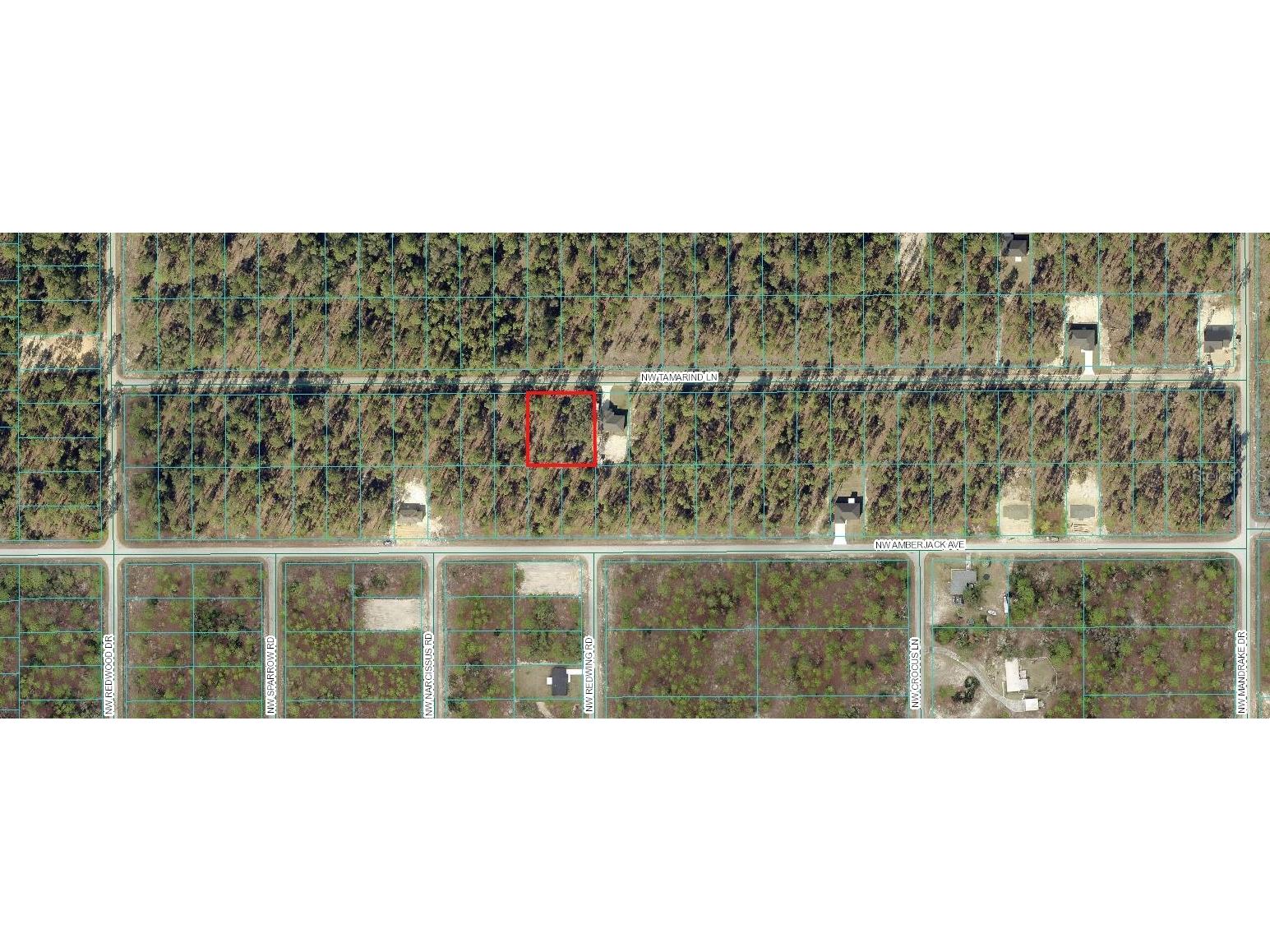 00 SW Tamarind Lane Dunnellon FL 34431 OM701349 image1