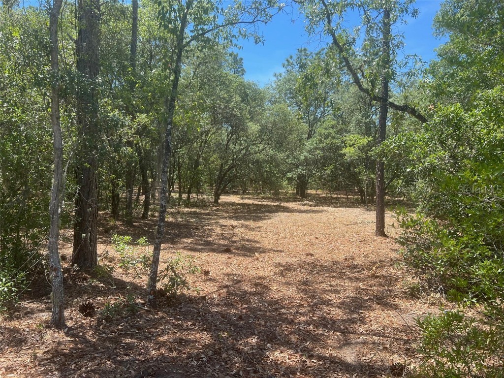 00 SW Wood Road Dunnellon FL 34431 - Tiger Lake OM657385 image1