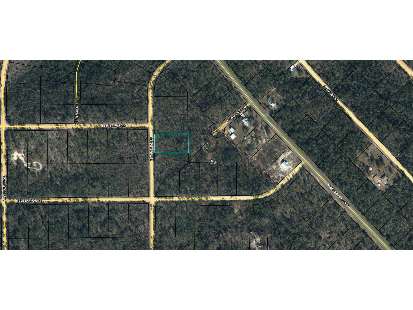 00 Tamarac Rd Marianna FL 32448 TB8332659 image1