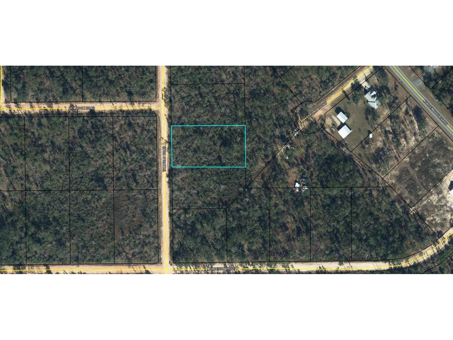 00 Tamarac Rd Marianna FL 32448 TB8332659 image2