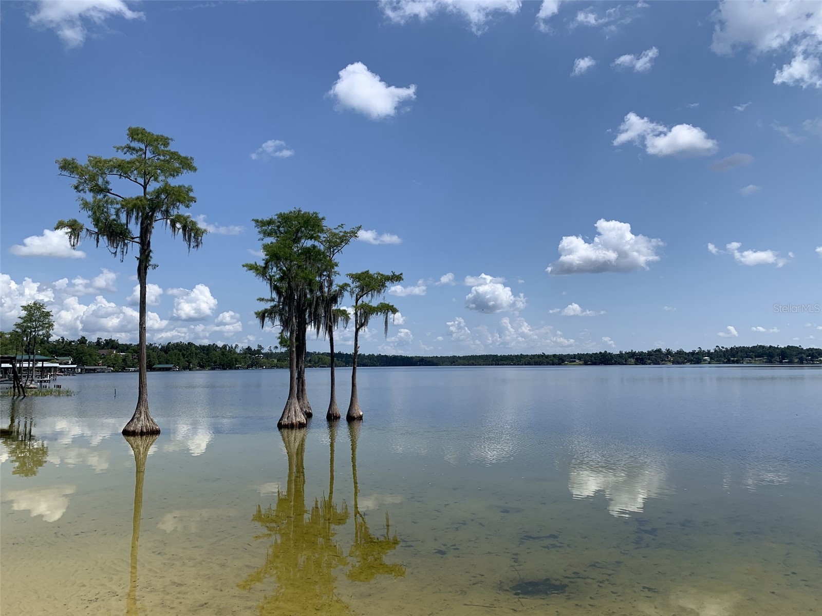 00 Tamarac Rd Marianna FL 32448 TB8332659 image4