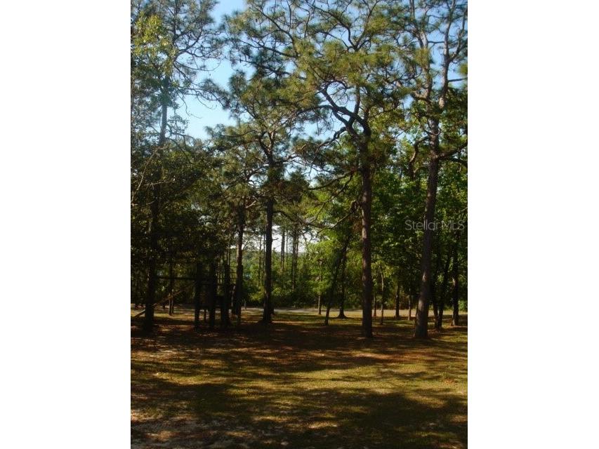 00 Tamarac Rd Marianna FL 32448 TB8332659 image9