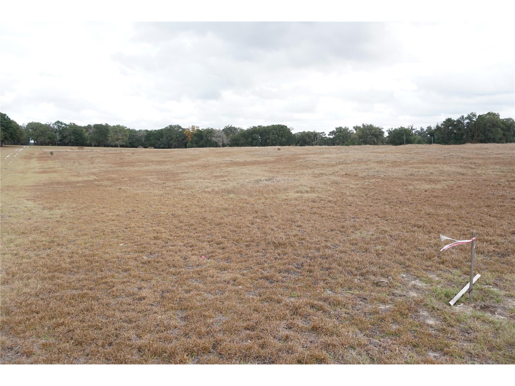 00 (TBD) NE 141st Street Citra FL 32113 OM714375 image1