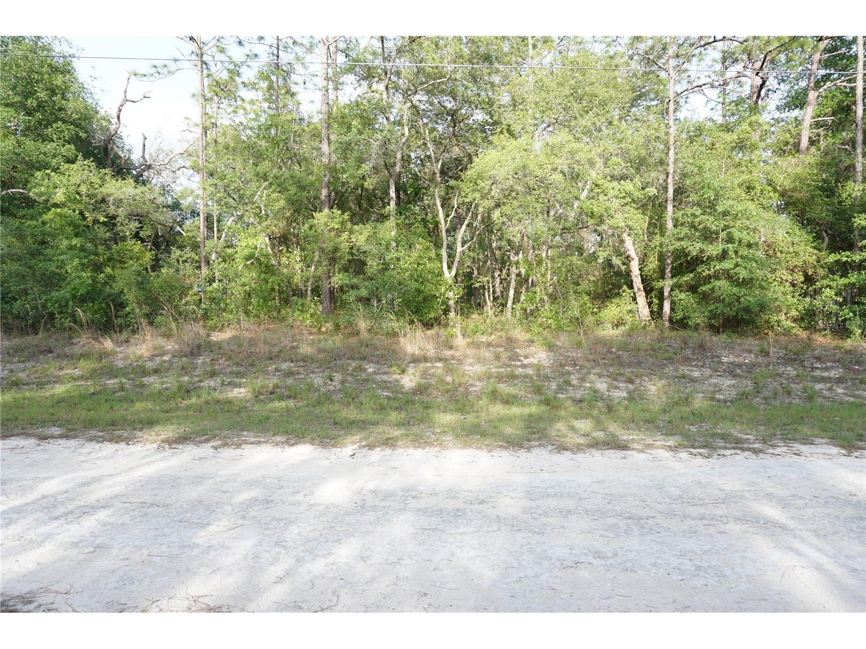 00 (TBD) SW 135 Terrace Road Dunnellon FL 34432 OM724221 image1
