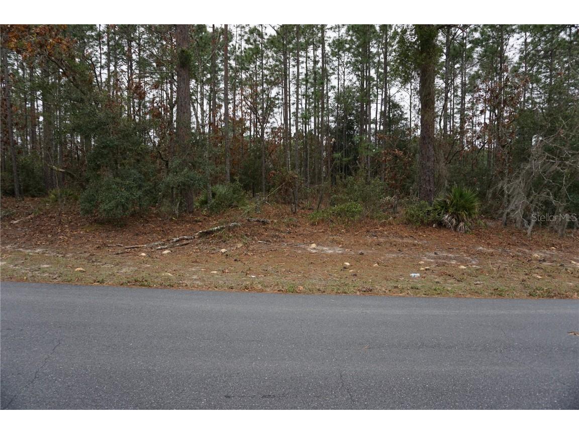 00 (TBD) SW 77 Court Ocala FL 34473 OM693533 image1